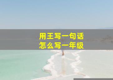 用王写一句话怎么写一年级