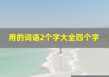 用的词语2个字大全四个字