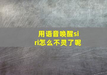 用语音唤醒siri怎么不灵了呢