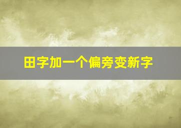 田字加一个偏旁变新字