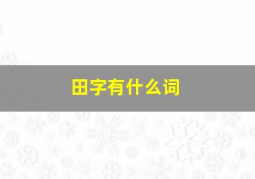 田字有什么词