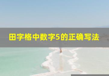 田字格中数字5的正确写法