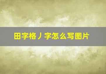 田字格丿字怎么写图片