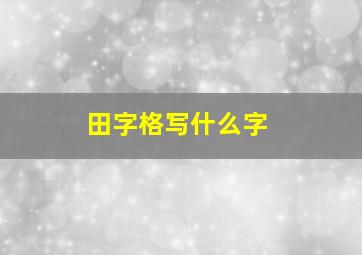 田字格写什么字