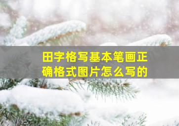 田字格写基本笔画正确格式图片怎么写的