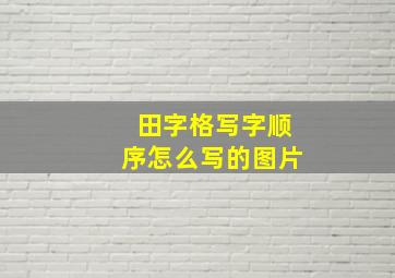 田字格写字顺序怎么写的图片