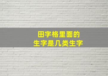 田字格里面的生字是几类生字