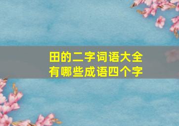 田的二字词语大全有哪些成语四个字