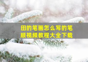 田的笔画怎么写的笔顺视频教程大全下载