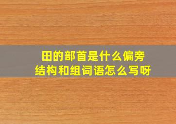 田的部首是什么偏旁结构和组词语怎么写呀