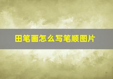 田笔画怎么写笔顺图片