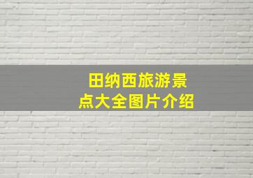 田纳西旅游景点大全图片介绍