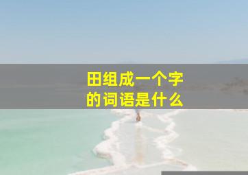 田组成一个字的词语是什么