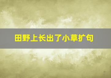 田野上长出了小草扩句