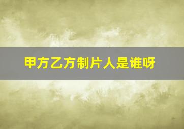 甲方乙方制片人是谁呀