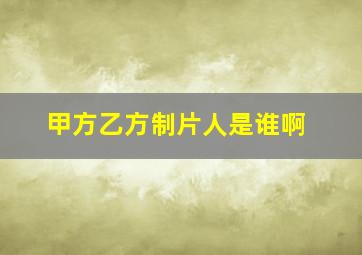 甲方乙方制片人是谁啊