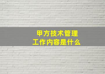 甲方技术管理工作内容是什么