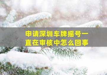 申请深圳车牌摇号一直在审核中怎么回事