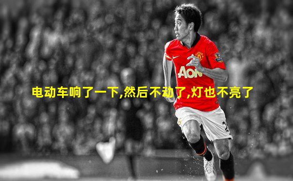 电动车响了一下,然后不动了,灯也不亮了