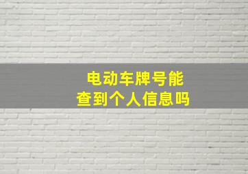 电动车牌号能查到个人信息吗