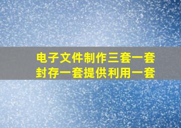 电子文件制作三套一套封存一套提供利用一套