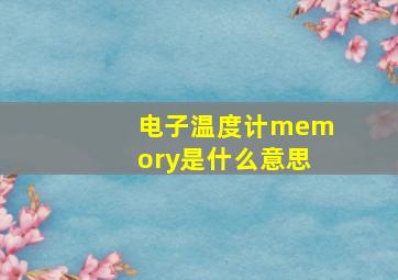 电子温度计memory是什么意思