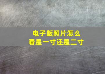 电子版照片怎么看是一寸还是二寸