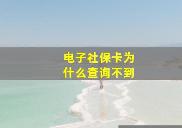 电子社保卡为什么查询不到