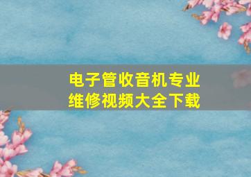 电子管收音机专业维修视频大全下载