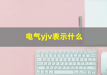 电气yjv表示什么