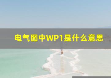 电气图中WP1是什么意思