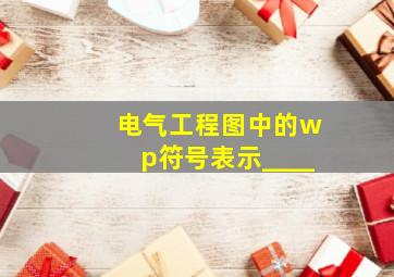 电气工程图中的wp符号表示____