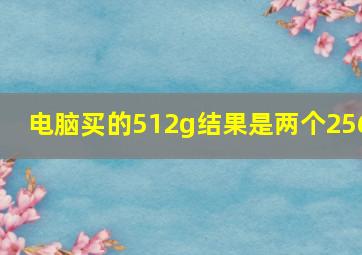 电脑买的512g结果是两个256