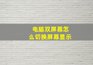 电脑双屏幕怎么切换屏幕显示