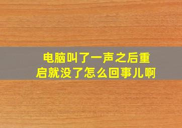 电脑叫了一声之后重启就没了怎么回事儿啊