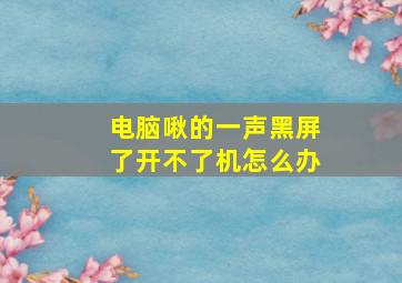 电脑啾的一声黑屏了开不了机怎么办