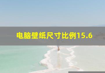 电脑壁纸尺寸比例15.6