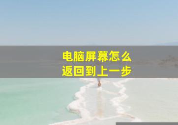 电脑屏幕怎么返回到上一步