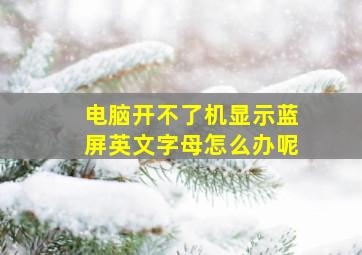 电脑开不了机显示蓝屏英文字母怎么办呢