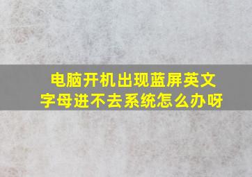 电脑开机出现蓝屏英文字母进不去系统怎么办呀