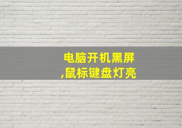 电脑开机黑屏,鼠标键盘灯亮