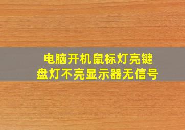 电脑开机鼠标灯亮键盘灯不亮显示器无信号