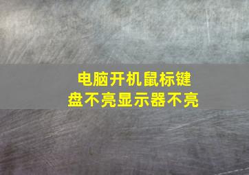 电脑开机鼠标键盘不亮显示器不亮