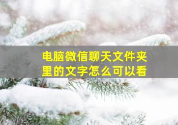 电脑微信聊天文件夹里的文字怎么可以看