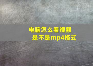 电脑怎么看视频是不是mp4格式