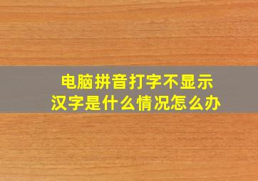 电脑拼音打字不显示汉字是什么情况怎么办