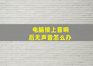 电脑接上音响后无声音怎么办