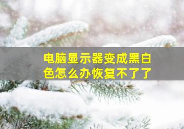 电脑显示器变成黑白色怎么办恢复不了了