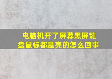 电脑机开了屏幕黑屏键盘鼠标都是亮的怎么回事