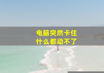 电脑突然卡住什么都动不了